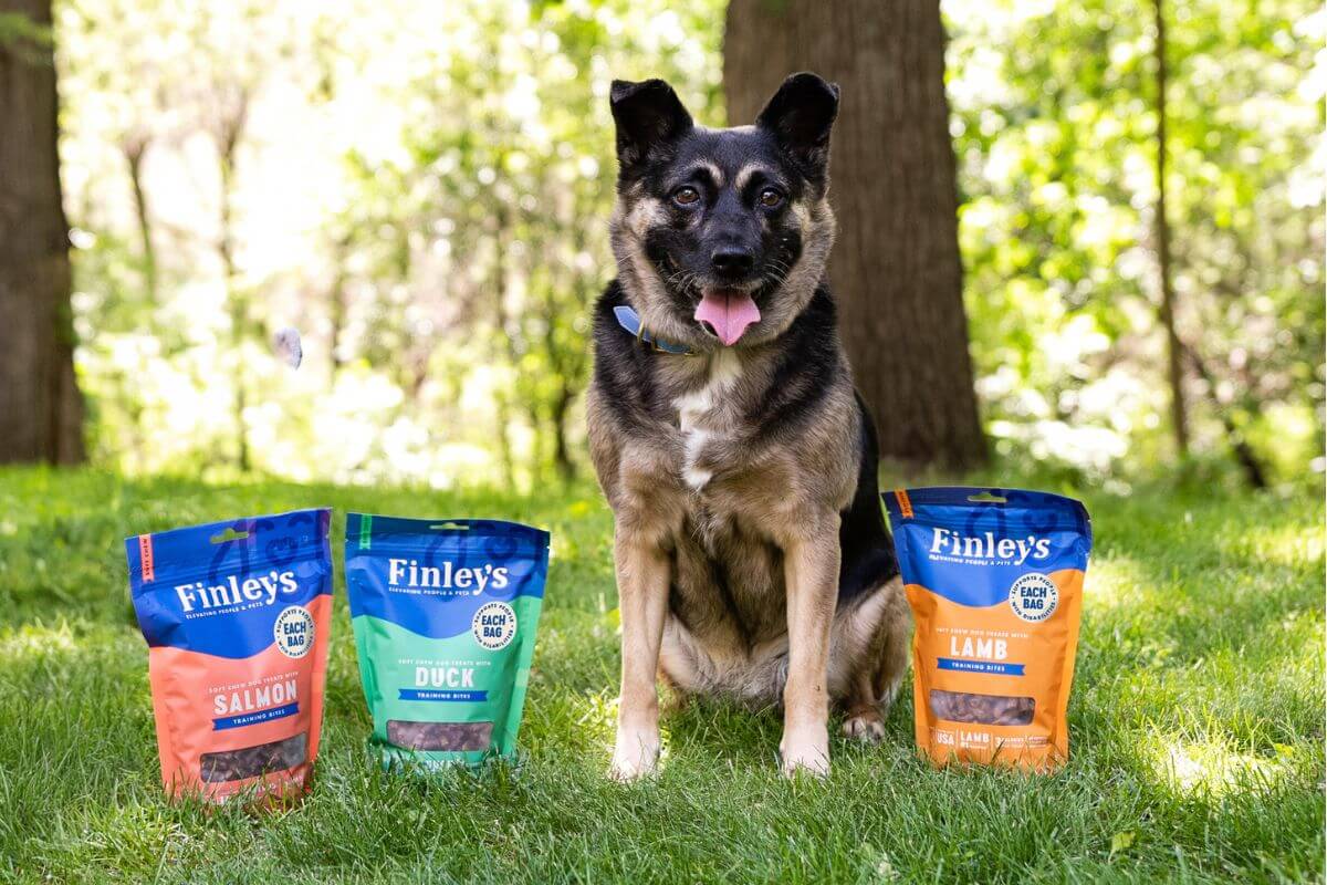 Dog sitting on grass with three bags of Finley's dog treats