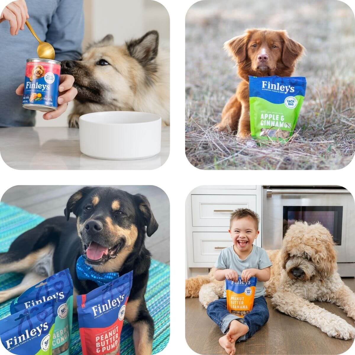 Collage of people, dogs, and Finley's pet food and treat packages in various settings