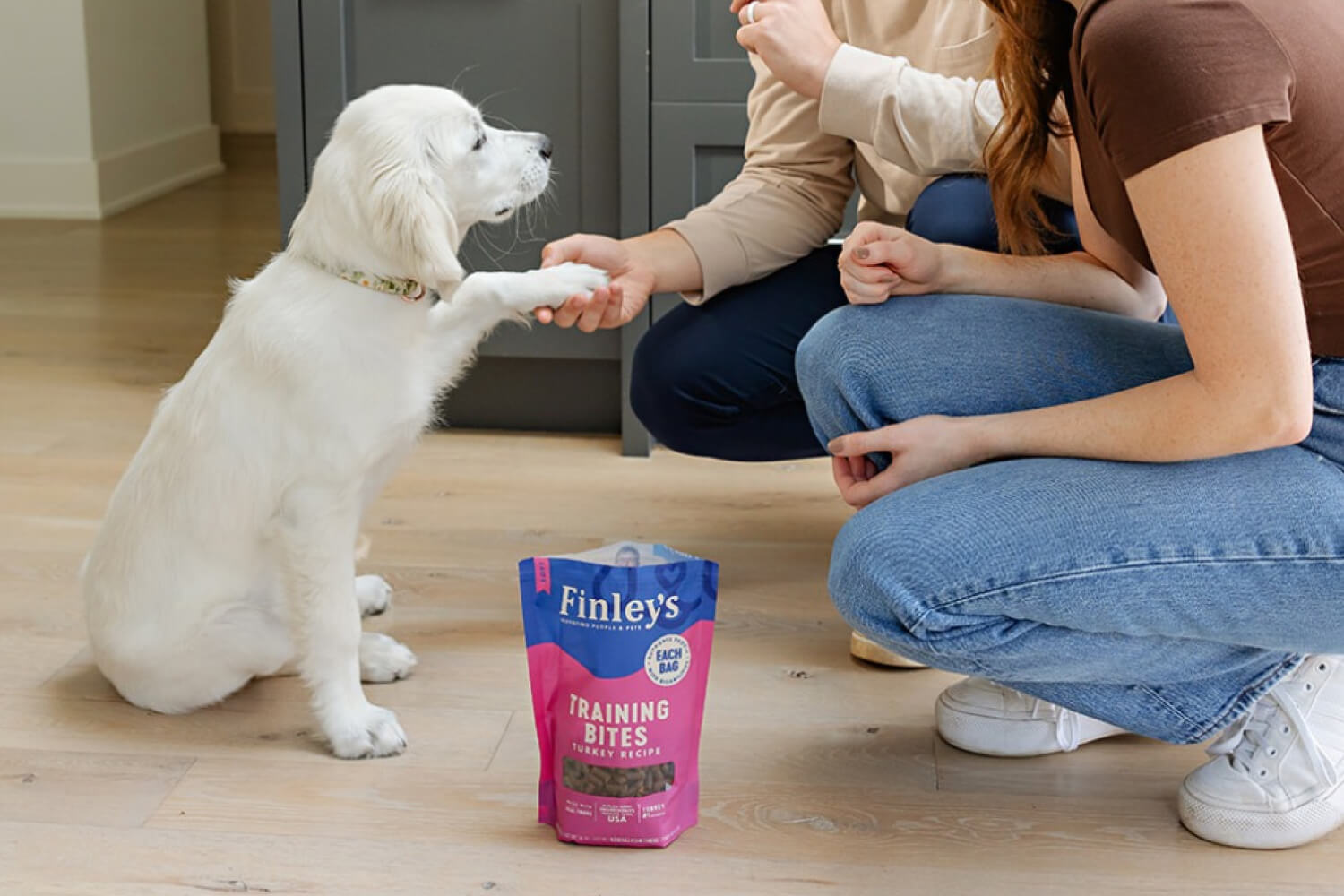 Soft Chew Trainer Bites