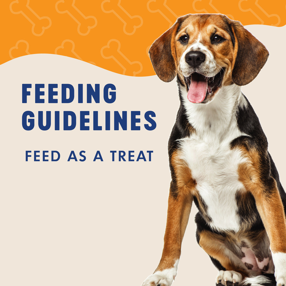 FEEDING
GUIDELINES

FEED AS A TREAT
