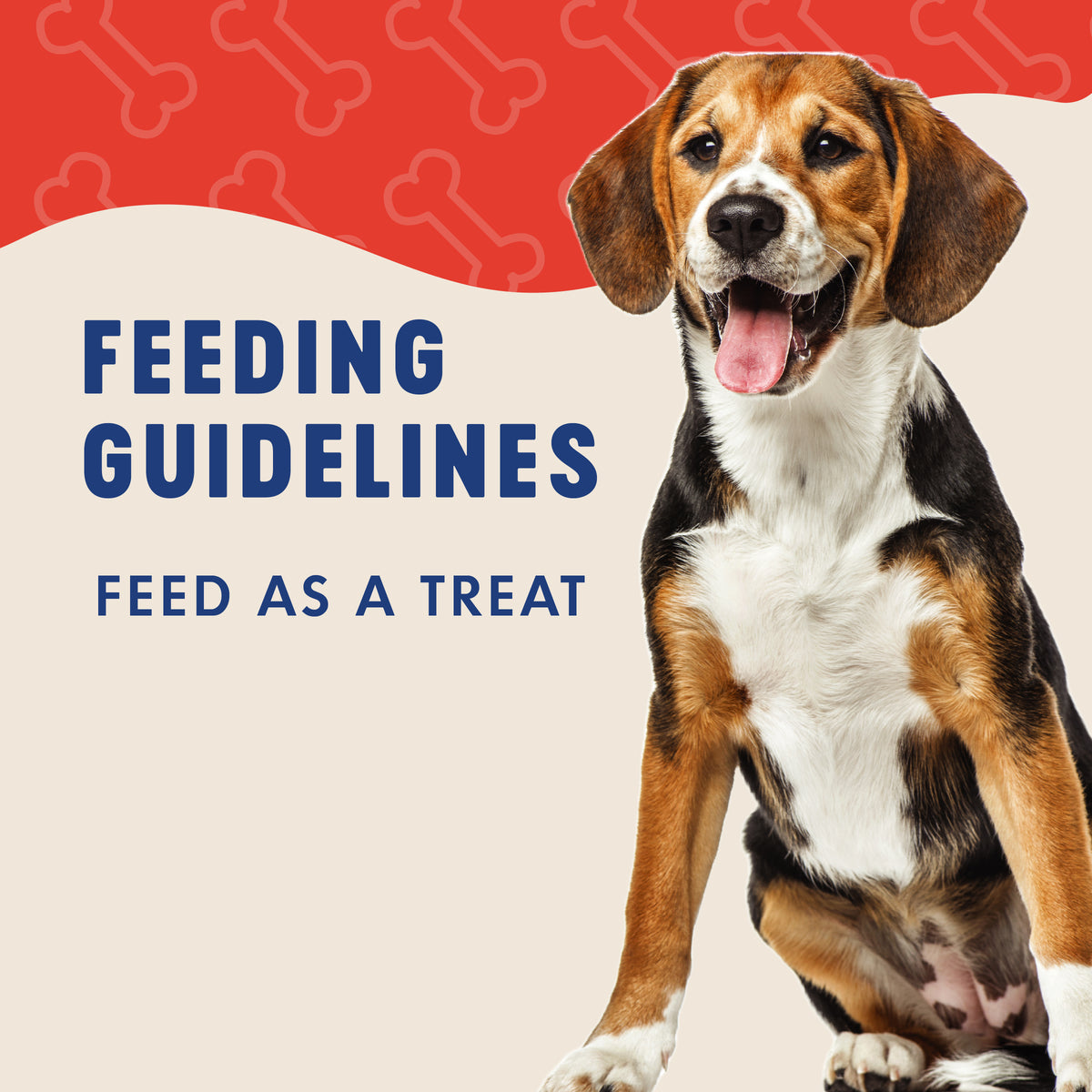FEEDING
GUIDELINES

FEED AS A TREAT