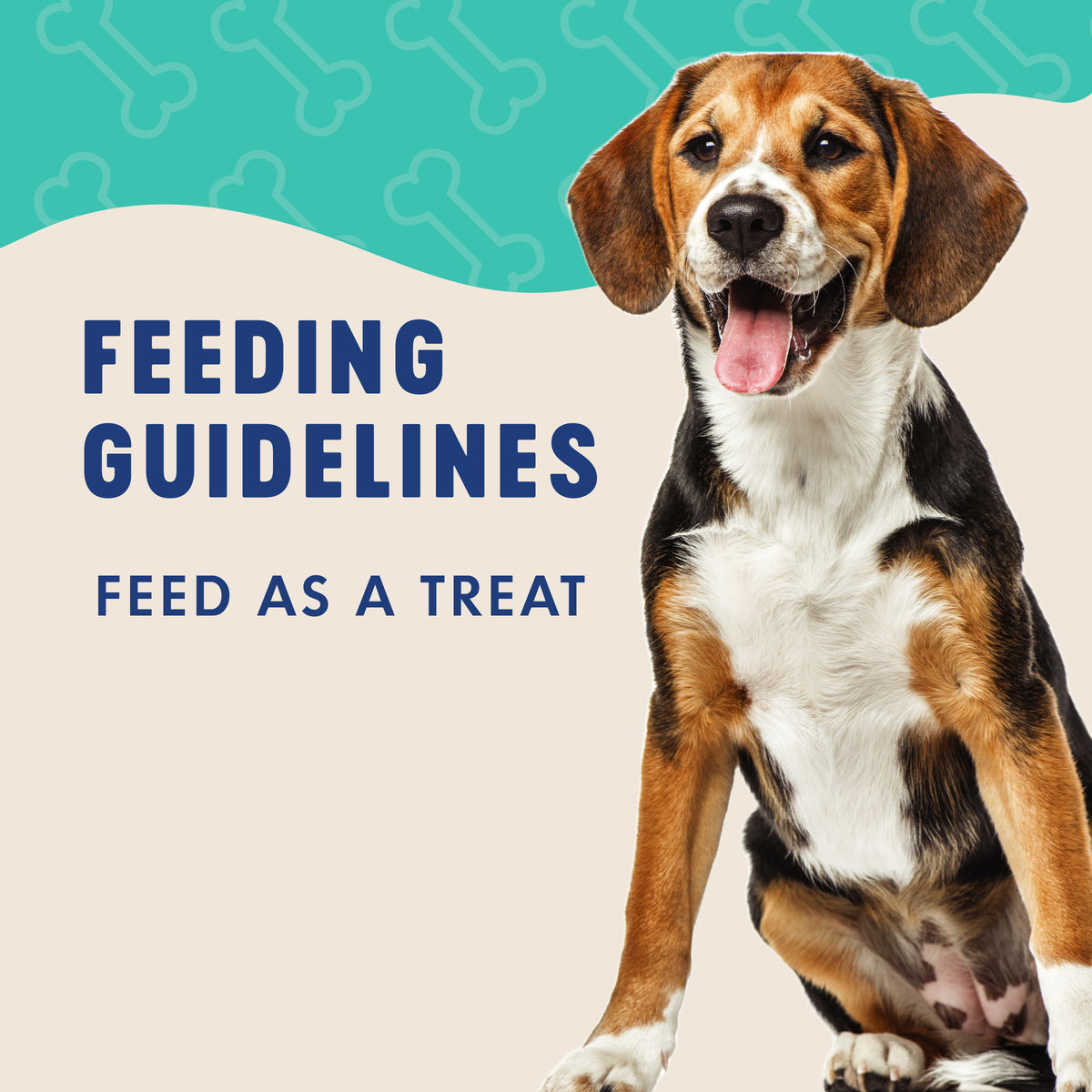 FEEDING
GUIDELINES

FEED AS A TREAT