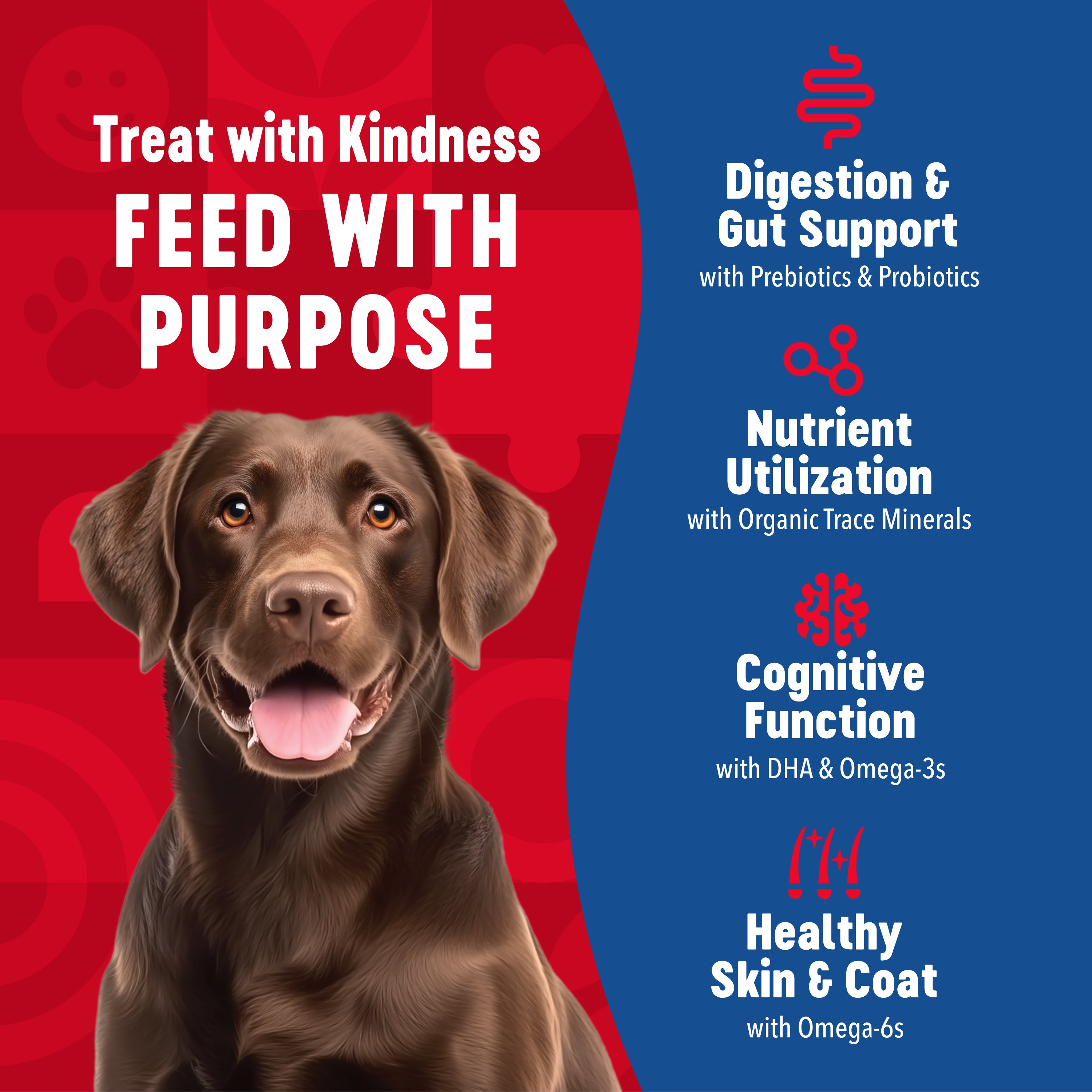 Dog with text about pet food benefits on a red and blue background