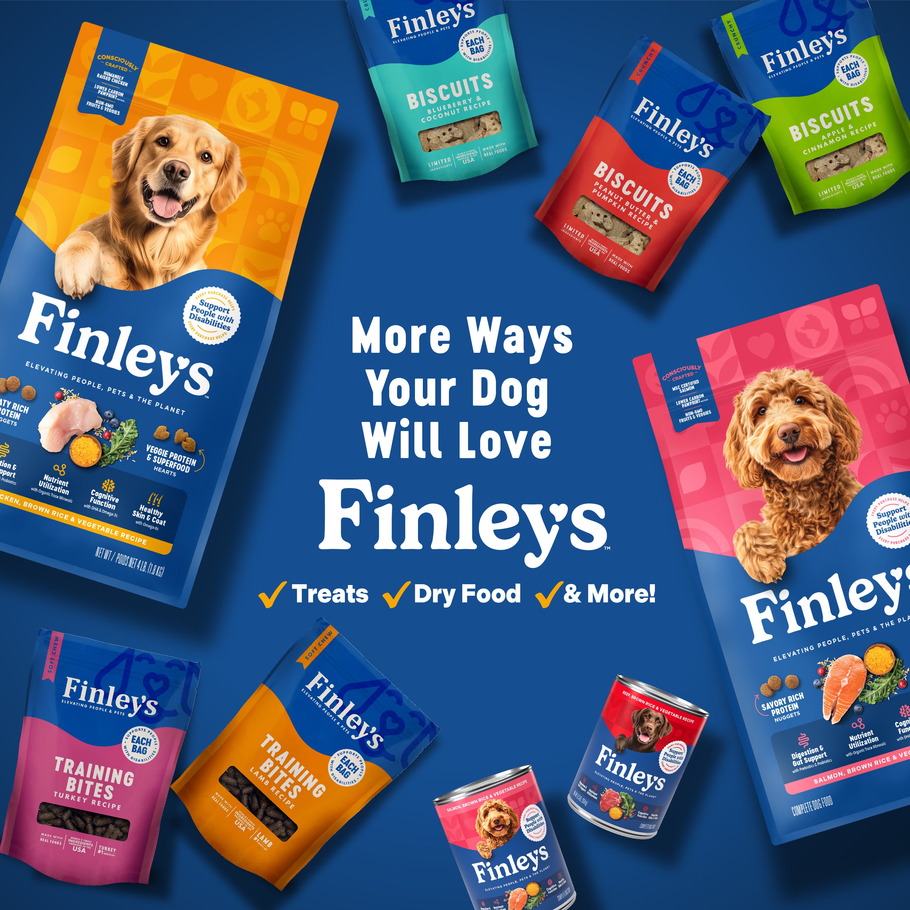 Chicken, Brown Rice & Vegetable Wet Dog Food