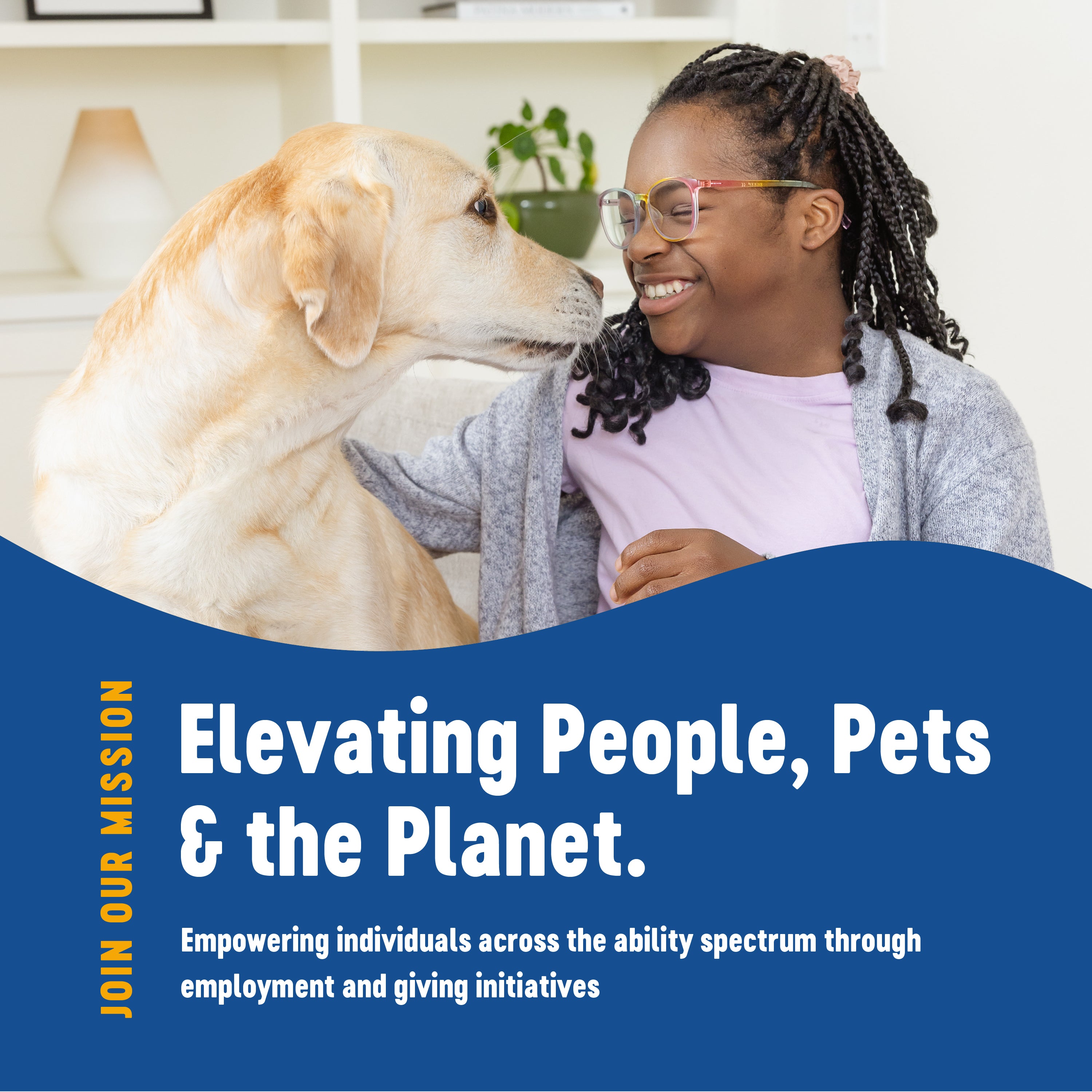 Chicken, Brown Rice & Vegetable Wet Dog Food