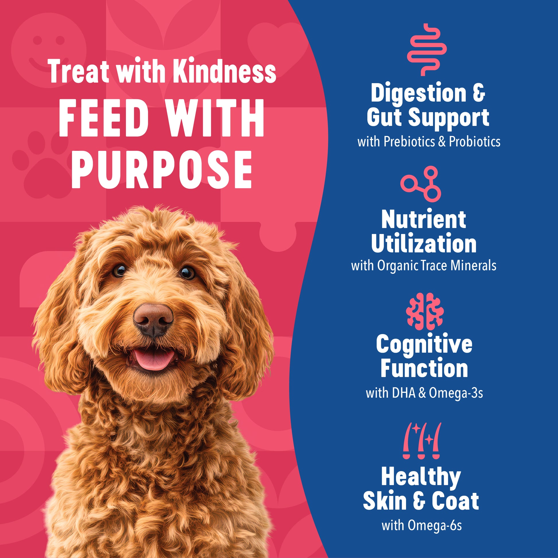 Dog with text about pet food benefits on a pink and blue background