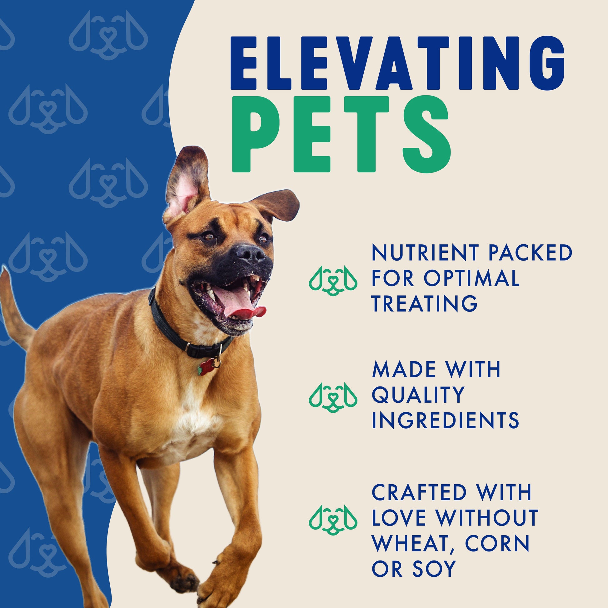 ELEVATING PETS
