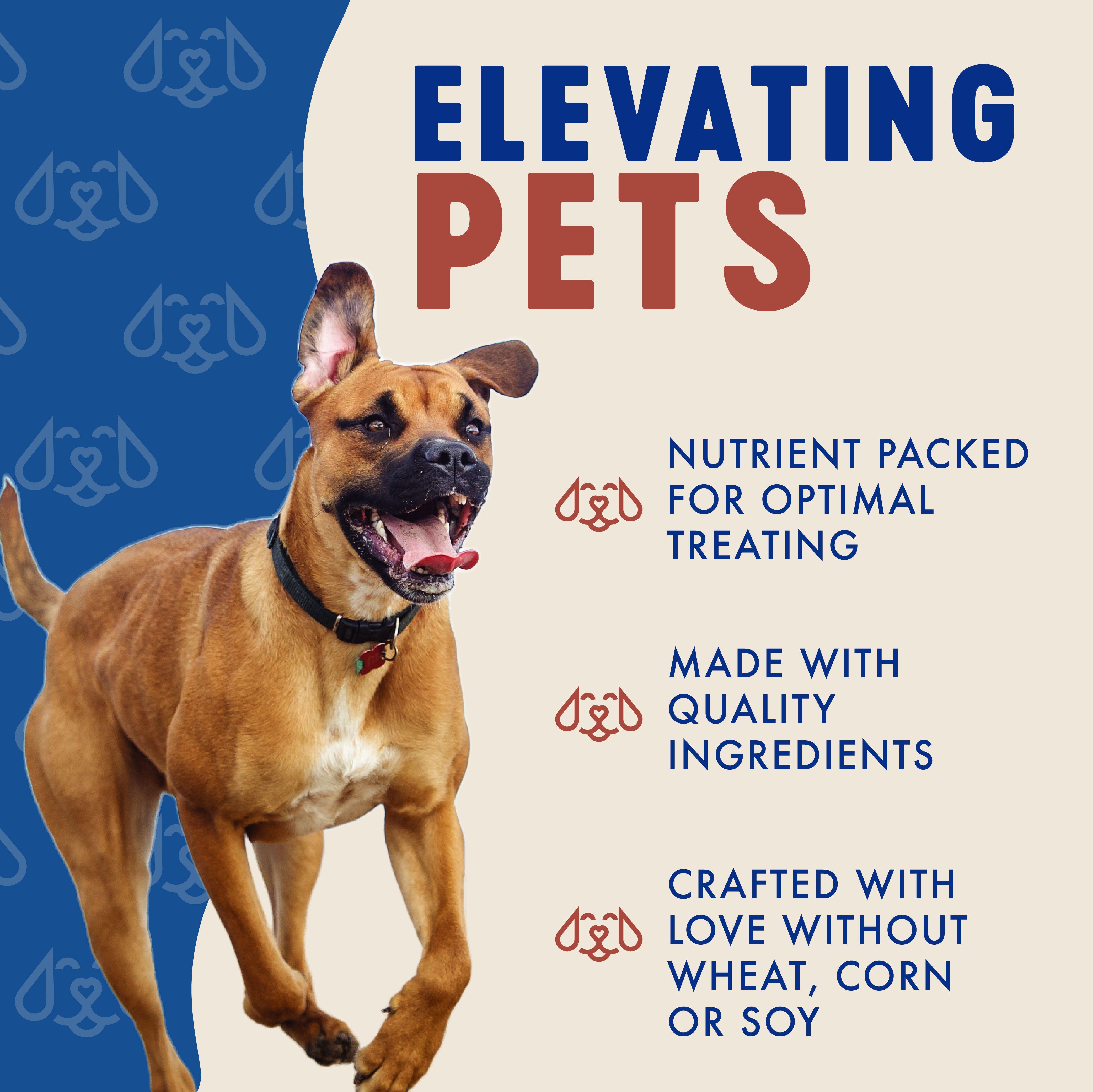 ELEVATING PETS