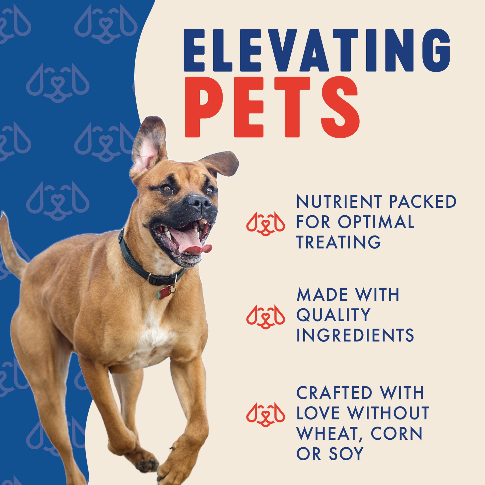 ELEVATING PETS
