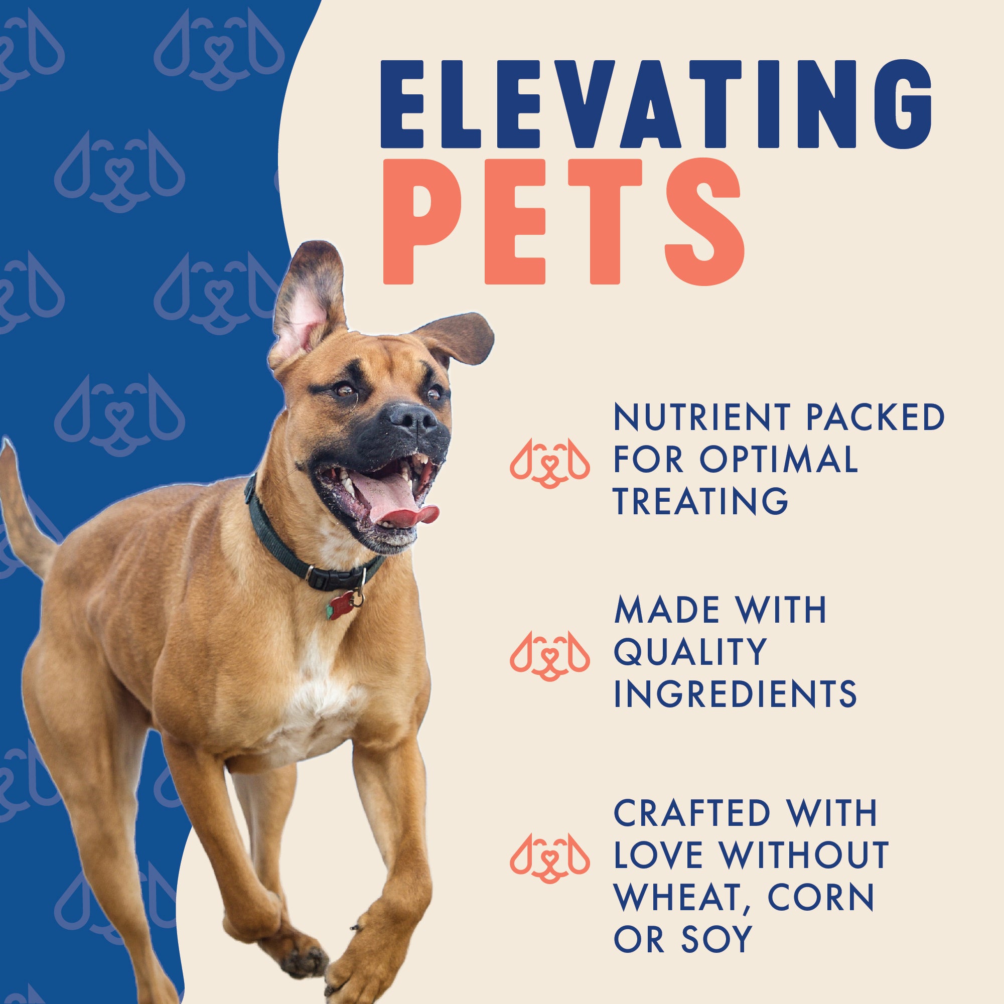 ELEVATING PETS