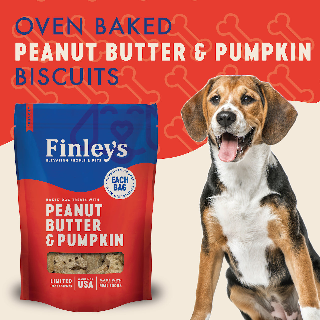 Peanut Butter & Blueberry Dog Treats in a pouch