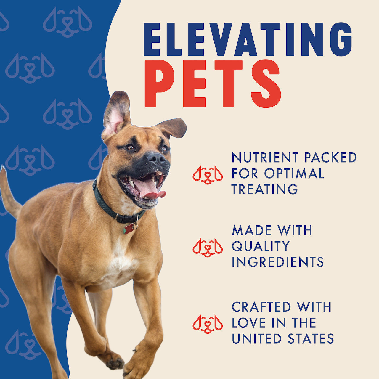 Finley's Peanut Butter & Pumpkin Crunchy Biscuits