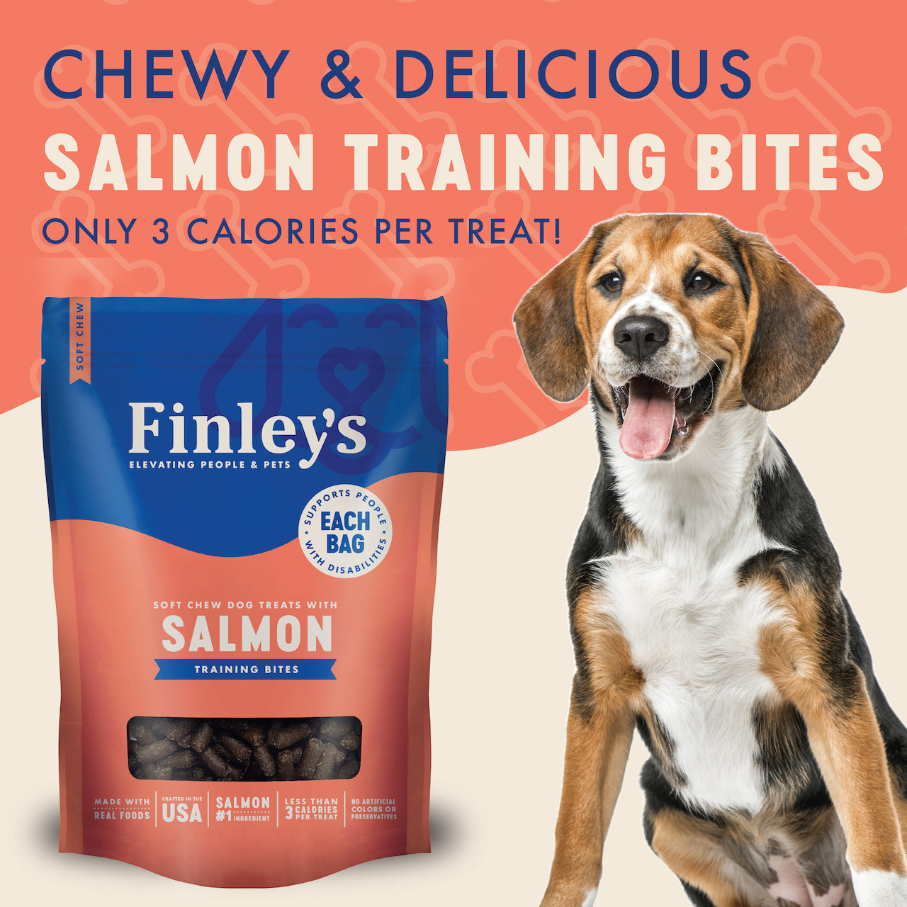 Finley's Salmon Recipe Soft Chew Training Bites