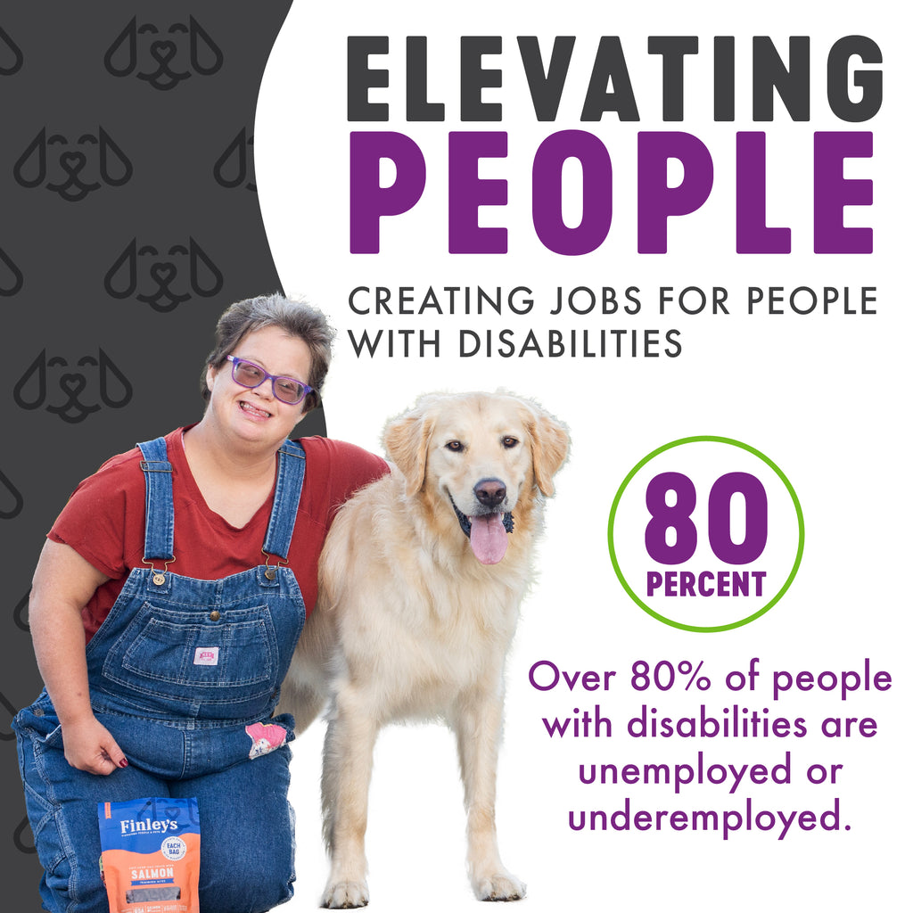 Elevating People - Creating Jobs for People with Disabilities