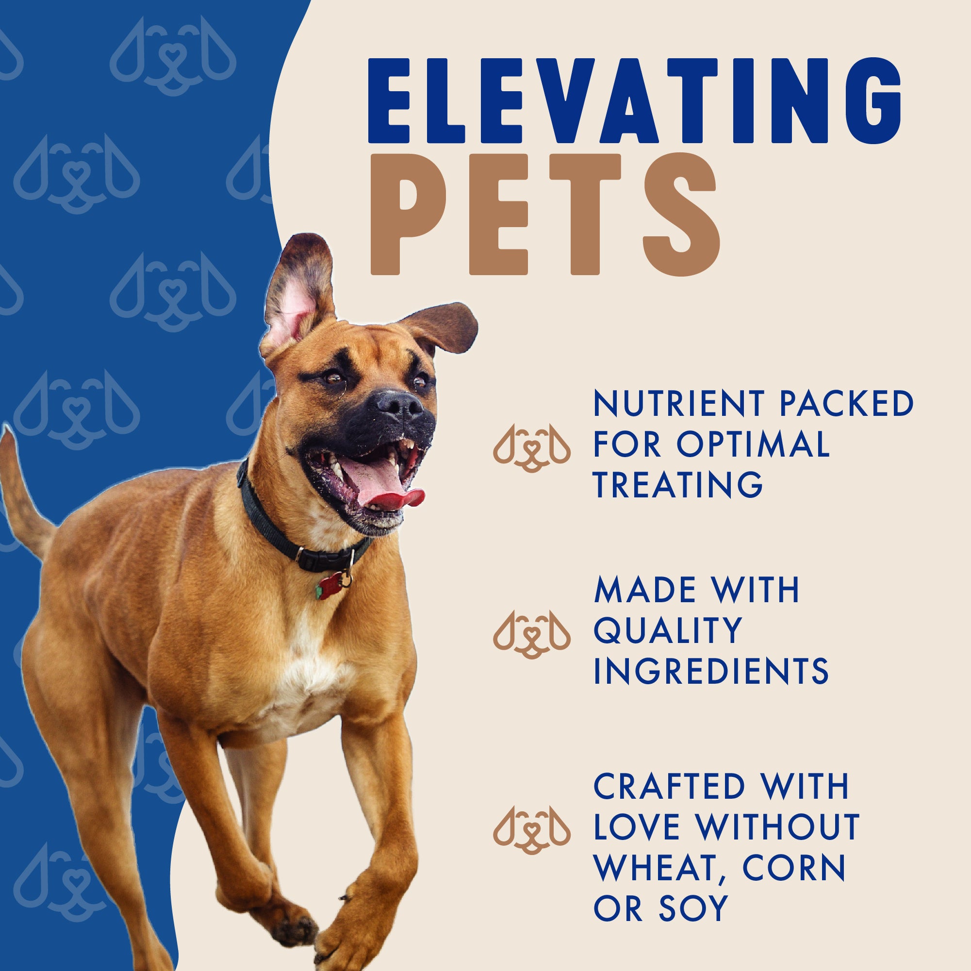 Finley's Chicken & Wild Boar Recipe Meaty Sticks